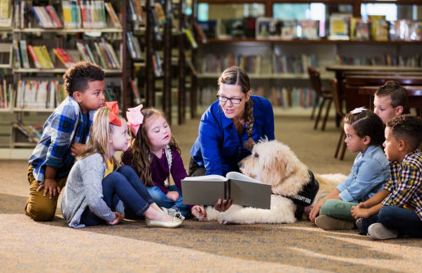 kinder in der bibliothek mit lesehilfe-hund - öffentliche bibliothek stock-fotos und bilder