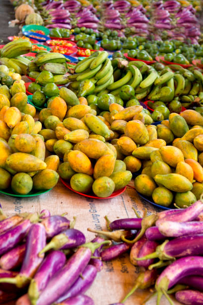 istock Fruits and Vegetables on the Ground 1144373691