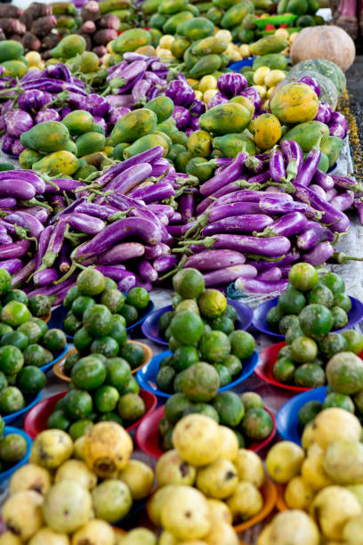 istock Fruits and Vegetables on the ground 1144373705