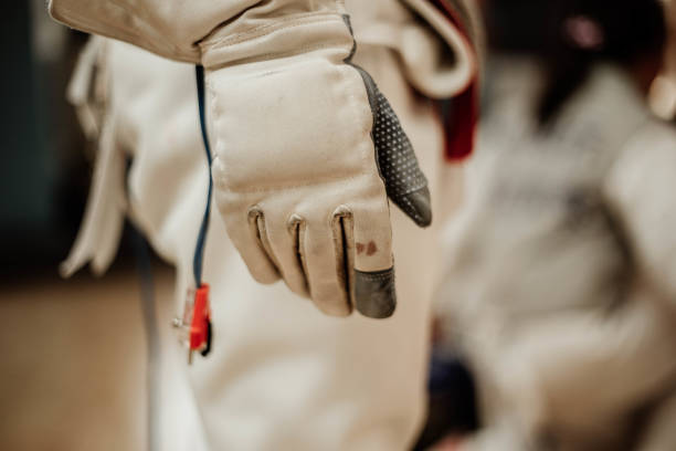 Fencing spirit