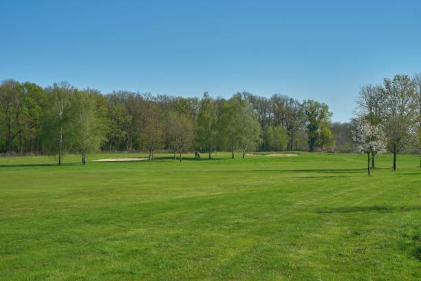 istock Idyllic golf course with forest and sand bunker. Spring landscape. 1144378858