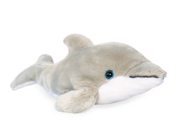 istock Soft white shark doll on a white background. 1144379493