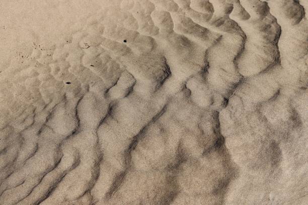 istock Abstract photo-texture of wet dunes. 1144379500