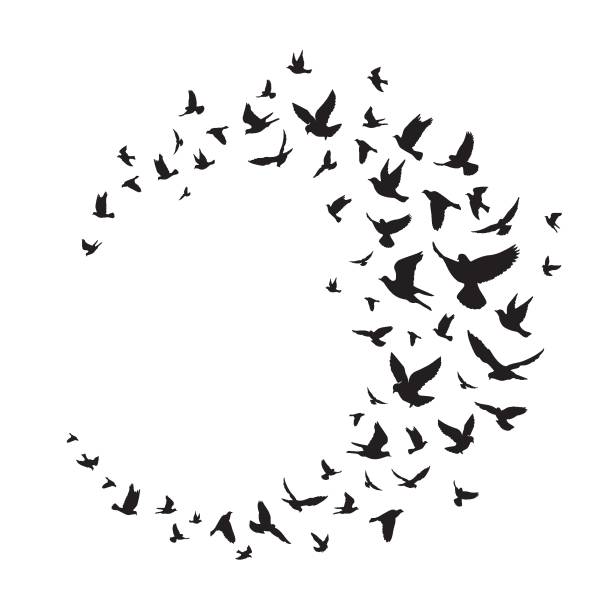 ilustrações de stock, clip art, desenhos animados e ícones de flying birds silhouette illustration. vector background - vector - happy bird