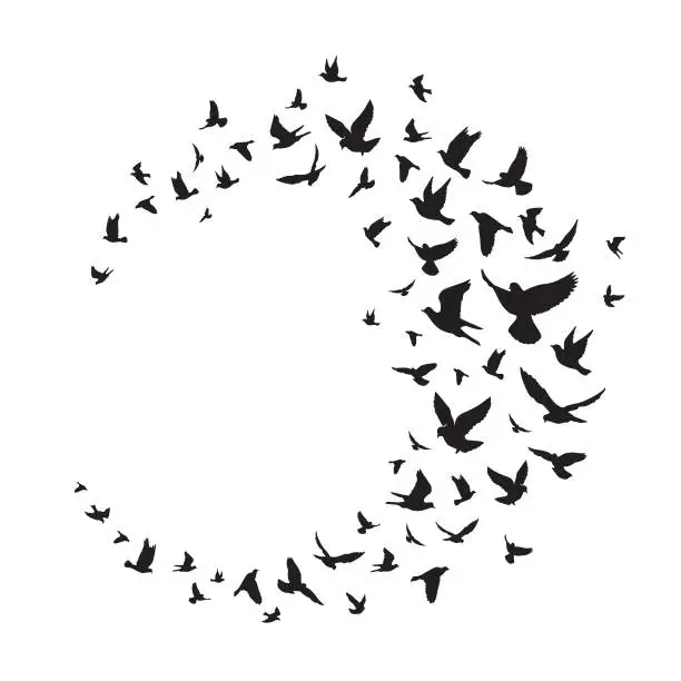 Vector illustration of Flying birds silhouette illustration. Vector background - Vector