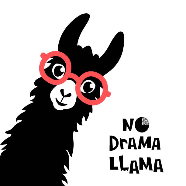 bildbanksillustrationer, clip art samt tecknat material och ikoner med söt tecknad lamadjur design utan drama llama motiverande citat. vektor illustration - lama kameldjur