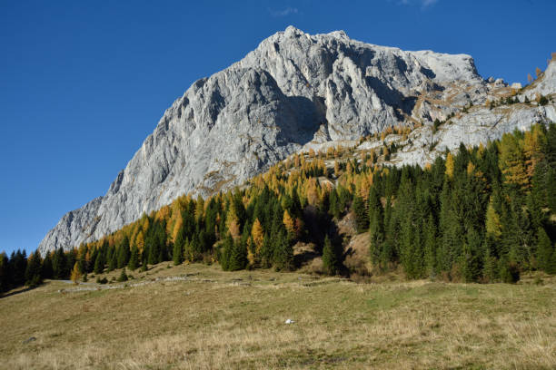 istock Autumn colors in dolomites mountains, sunset light, Italy 1144381245