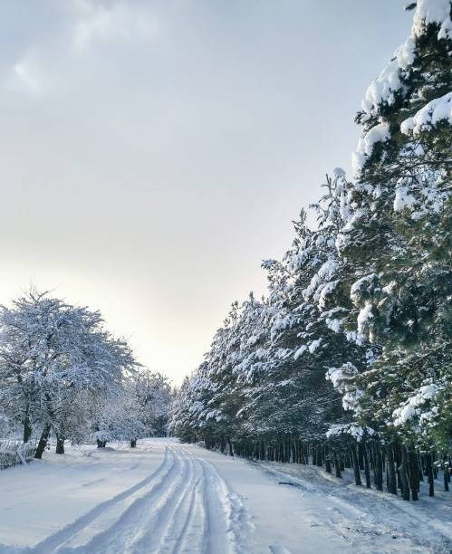 istock Winter road with covered snow 1144383174