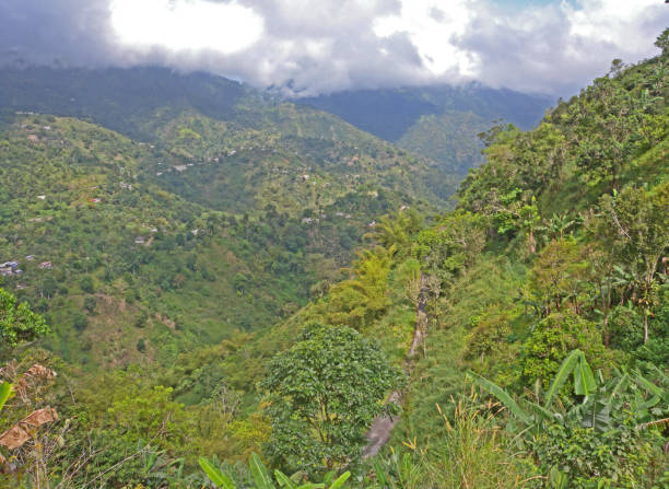 istock Blue Mountains NP, Jamaica 1144389308