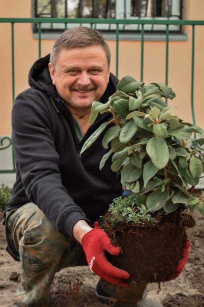 istock Spring works in the garden 1144392622