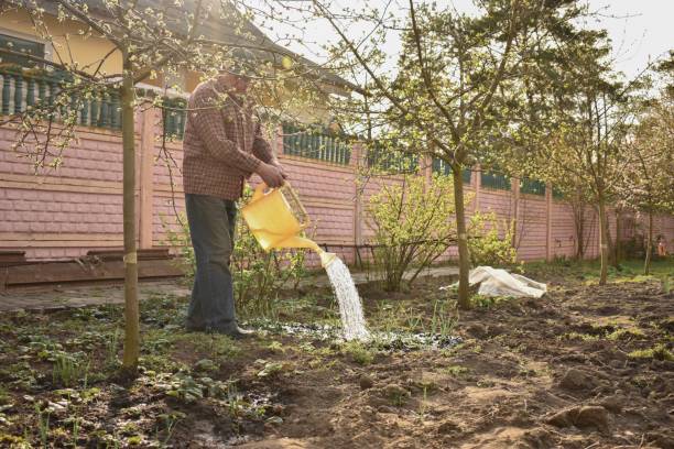 istock Spring works in the garden 1144392637