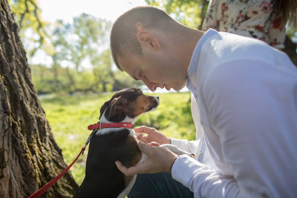 istock Young man showing his Jack Russel puppy love 1144394475
