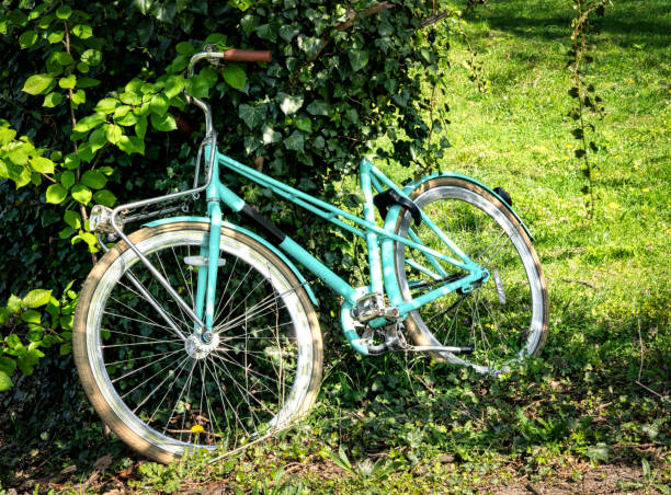 istock Stolen bicycle in a park hided under a tree 1144394682