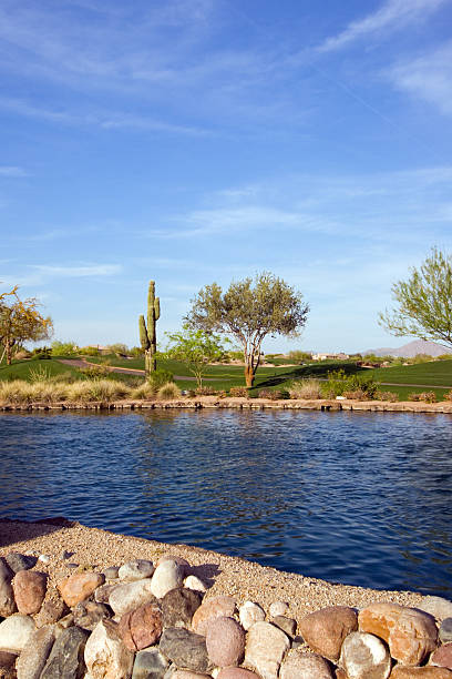 istock Golf resort in the Phoenix, Arizona desert 114439487