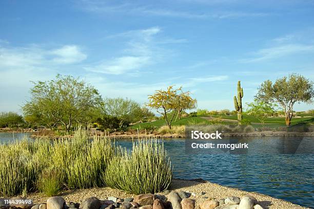 Dslr Imagen Del Desierto De Arizona Complejo Turístico De Golf Foto de stock y más banco de imágenes de Arizona