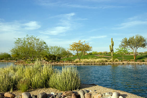 istock DSLR image of Arizona desert golf resort 114439498