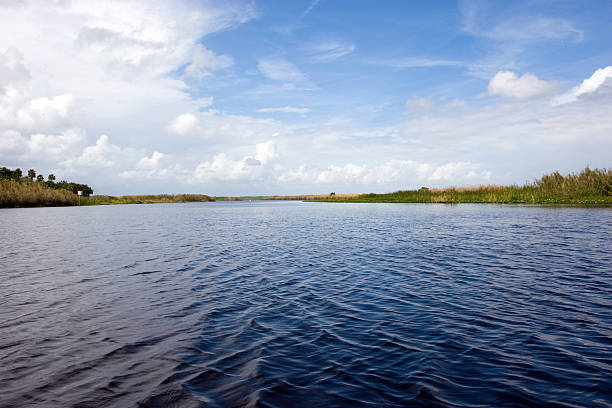 río st.john, orlando, florida - saint johns river fotografías e imágenes de stock