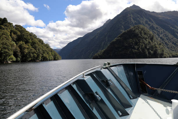 istock Doubtful Sound in New Zealand 1144397435