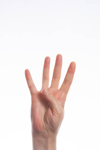 istock Isolated female hand on white background 1144397474