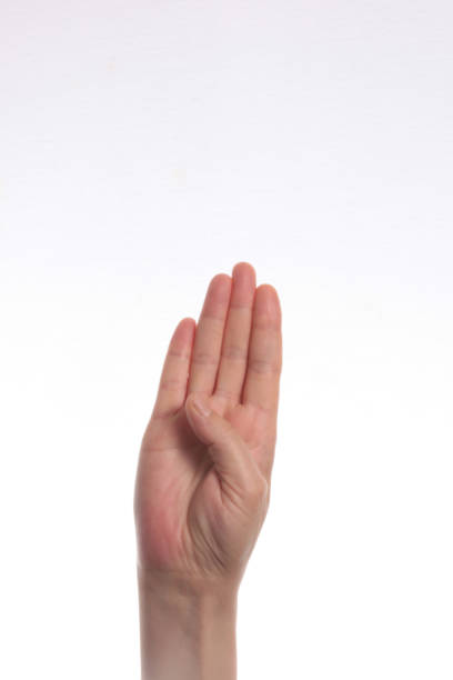 istock Isolated female hand on white background 1144397529