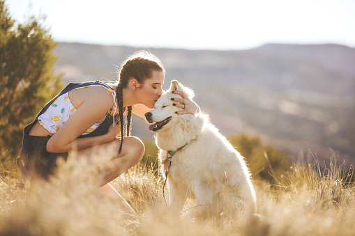 Series: Attractive Energetic Teen Female Exploring Colorado Outdoors with Siberian Husky Dog in The Wild (Shot with Canon 5DS 50.6mp photos professionally retouched - Lightroom / Photoshop - original size 5792 x 8688)