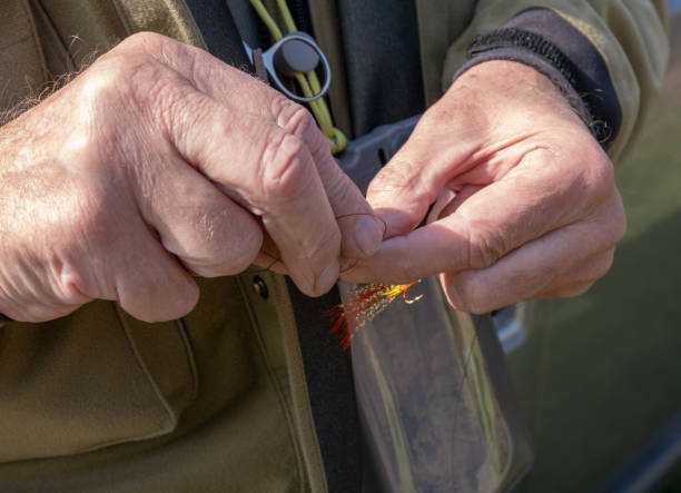um homem que une uma mosca de salmão amarrada mão a sua linha - enfiada de peixes - fotografias e filmes do acervo