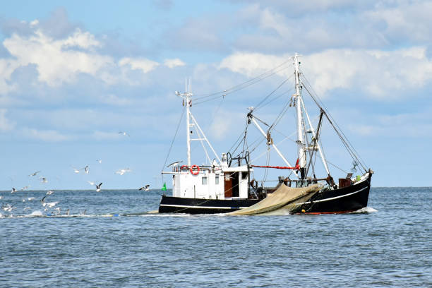 pesca no mar do norte perto de büsum em frisia norte (alemanha) - kutter - fotografias e filmes do acervo