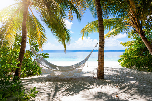 Empty hammock on a tropical beach