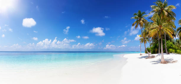 istock Paradise beach on the Maldives 1144407576