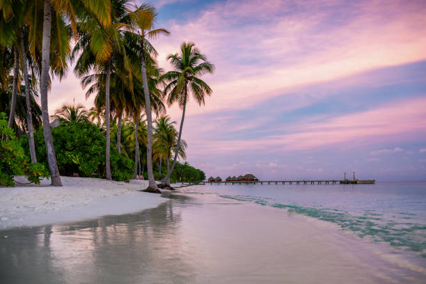 istock Panoramic view of a sunset in the Maldives 1144407658