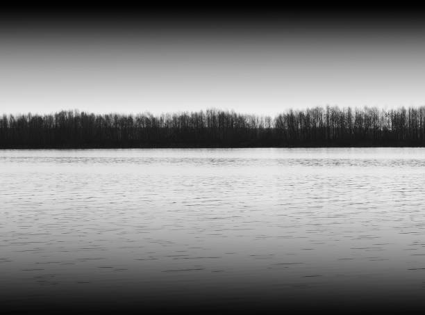 Broad mystical river flows along diagonal shore with silhouette of trees and thick fog in grayscale. Morning milky atmosphere. Minimalistic monochrome landscape of majestic nature.