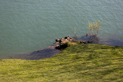 Shore on a lake with a meadow and stones