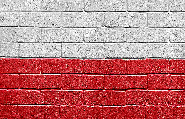 istock Flag of Poland on brick wall 114440970
