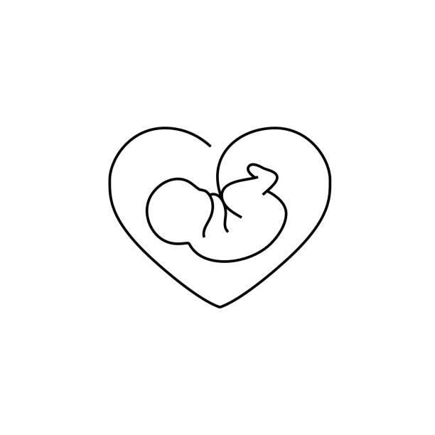 Vector embryo icon Vector fetus symbol with heart-shaped frame fetus stock illustrations