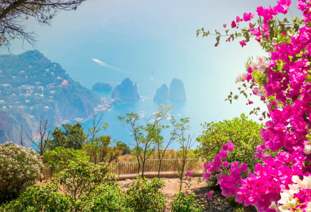 istock Capri island, Italy 1144410951