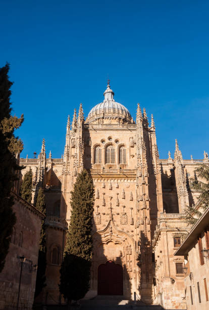 istock Cathedral of Salamanca 1144411782