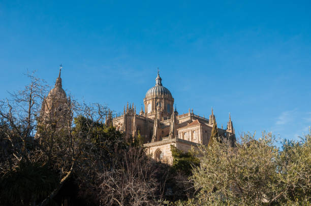 istock Cathedral of Salamanca 1144411854