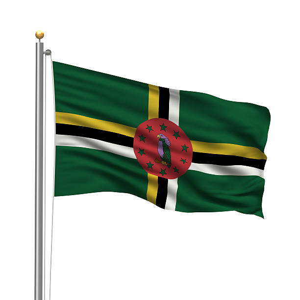 suriname  flag on tablet in female hands Flag from https://www.countryflags.com/en/ free for commercial use see release