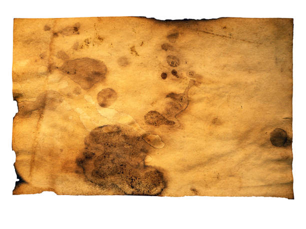 istock Grunge paper, vintage background 1144414169