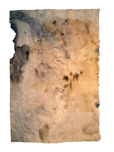 istock Grunge paper, vintage background 1144414217