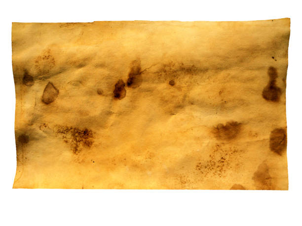 istock Grunge paper, vintage background 1144414499