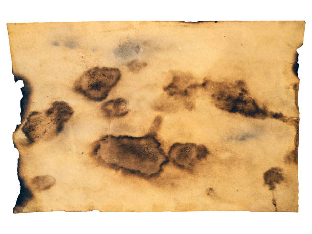 istock Grunge paper, vintage background 1144415047