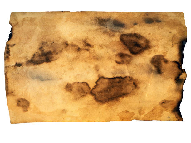 istock Grunge paper, vintage background 1144415203