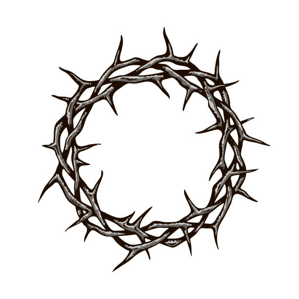 crown of thorns image black crown of thorns image isolated on white background thorn stock illustrations