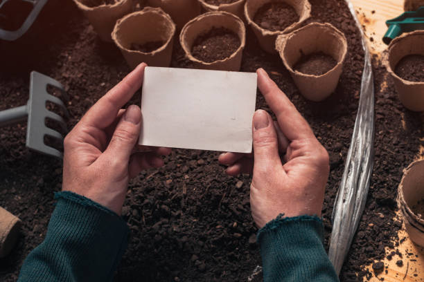 istock Organic gardener business card mock up 1144416669