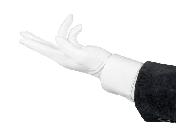 istock Man hand in white glove and black suit inviting gesture isolated with clipping path 1144418119