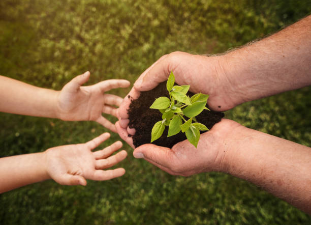 Senior hands giving small plant to a child