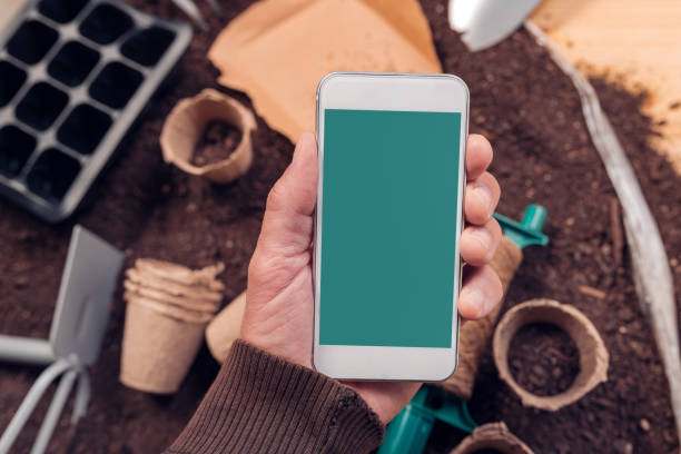 istock Smartphone screen mock up for gardening and seeding app 1144419162