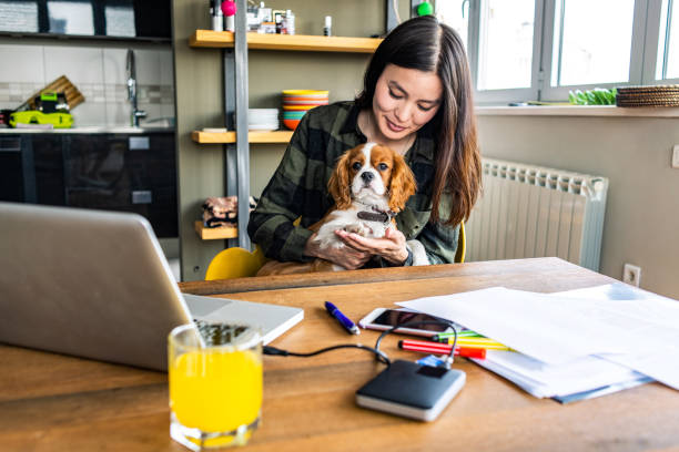 istock young woman working on her laptop 1144420499