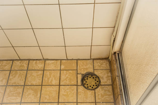 istock Old shower drain close-up, old and dirty 1144420606